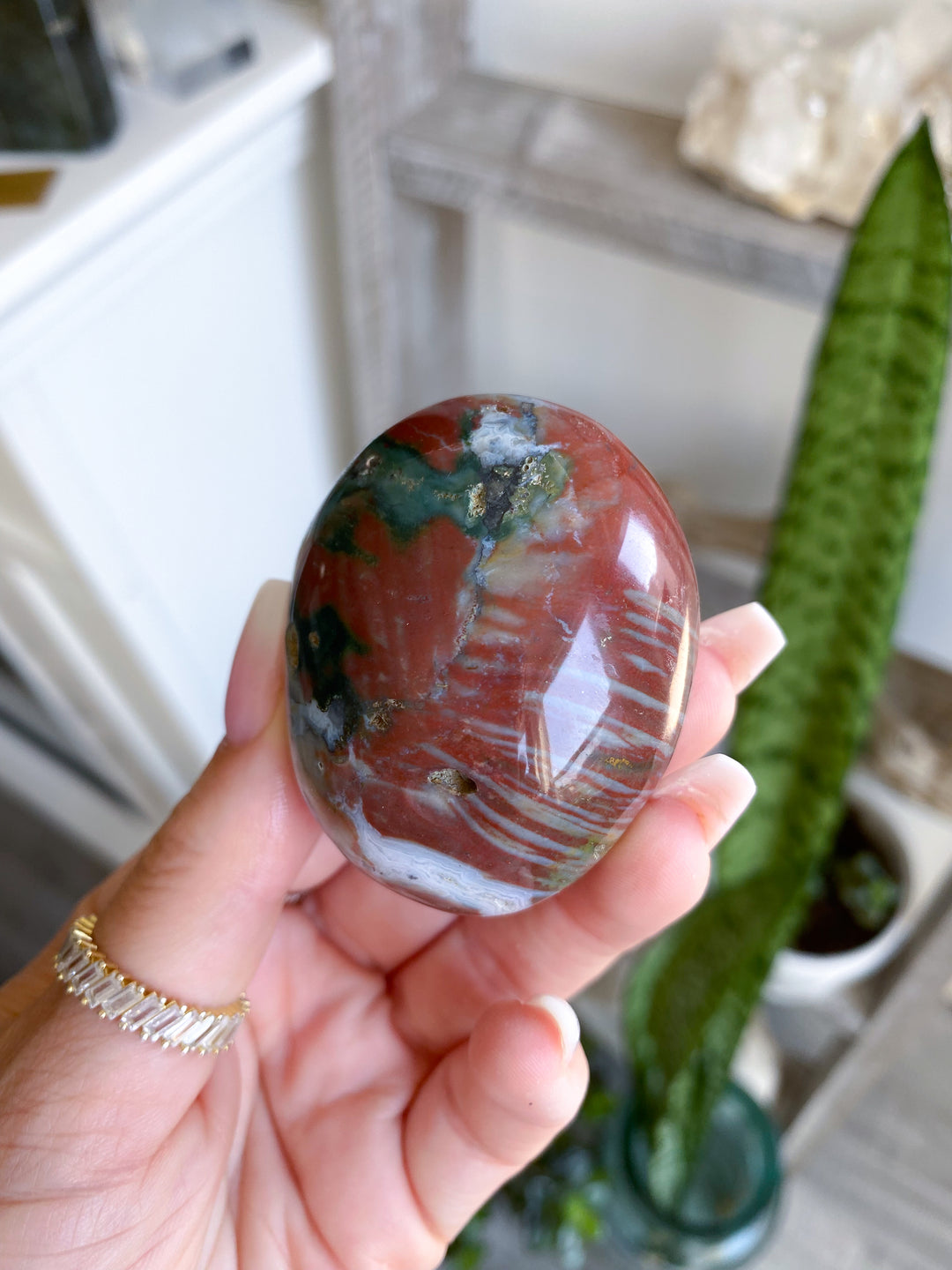 Ocean Jasper Palm #4