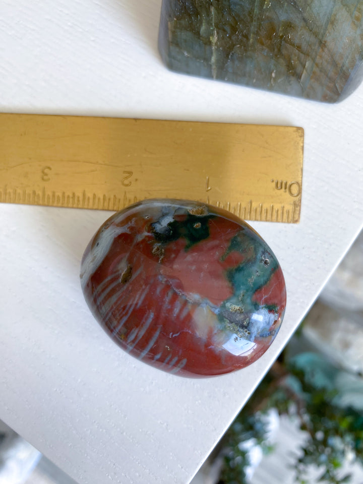 Ocean Jasper Palm #4