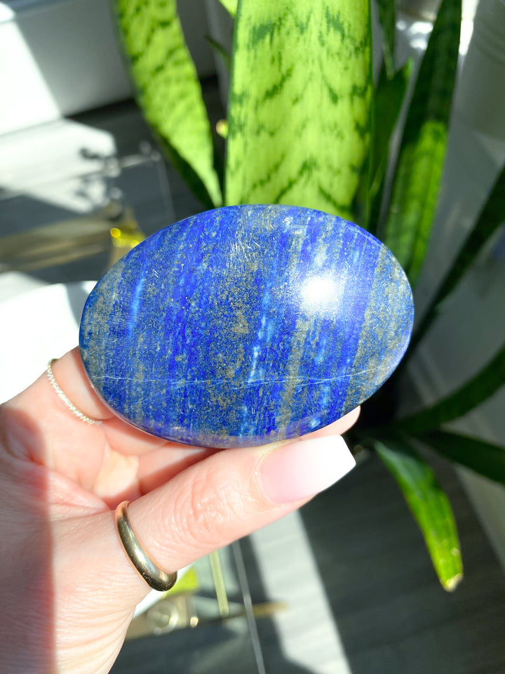 Large Lapis Lazuli Palm Stone #3