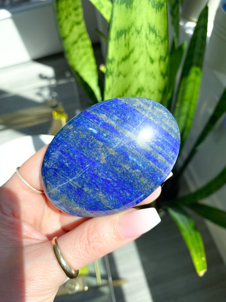 Large Lapis Lazuli Palm Stone #3
