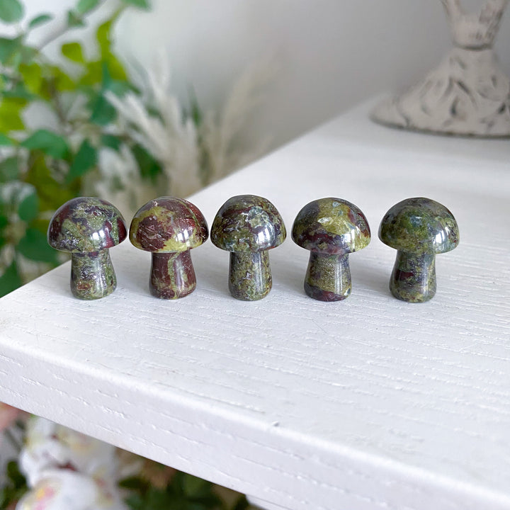 Dragon Blood Jasper Mini Mushroom