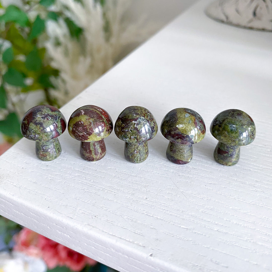 Dragon Blood Jasper Mini Mushroom