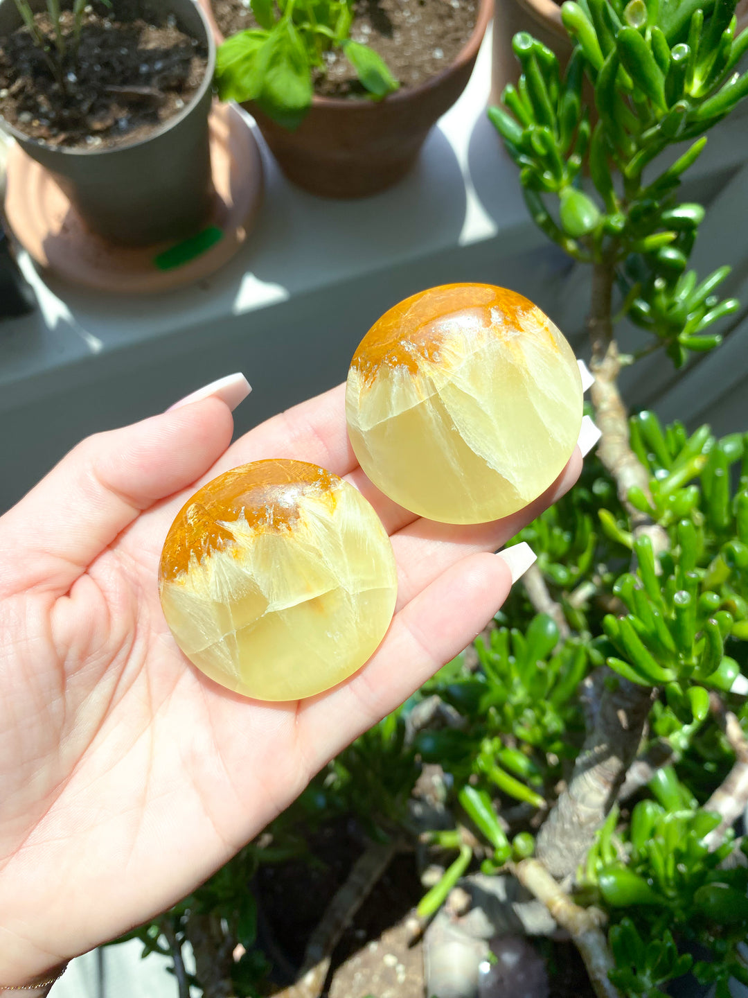 Lemon Calcite Coin w/ Siderite