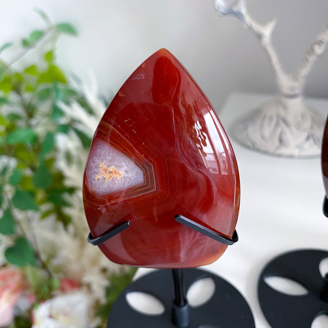 Shiny Carnelian Flame on Stand - Choose Your Piece