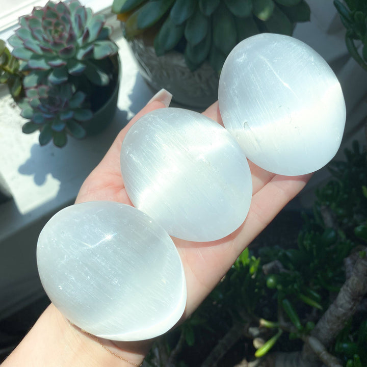 Selenite Palm