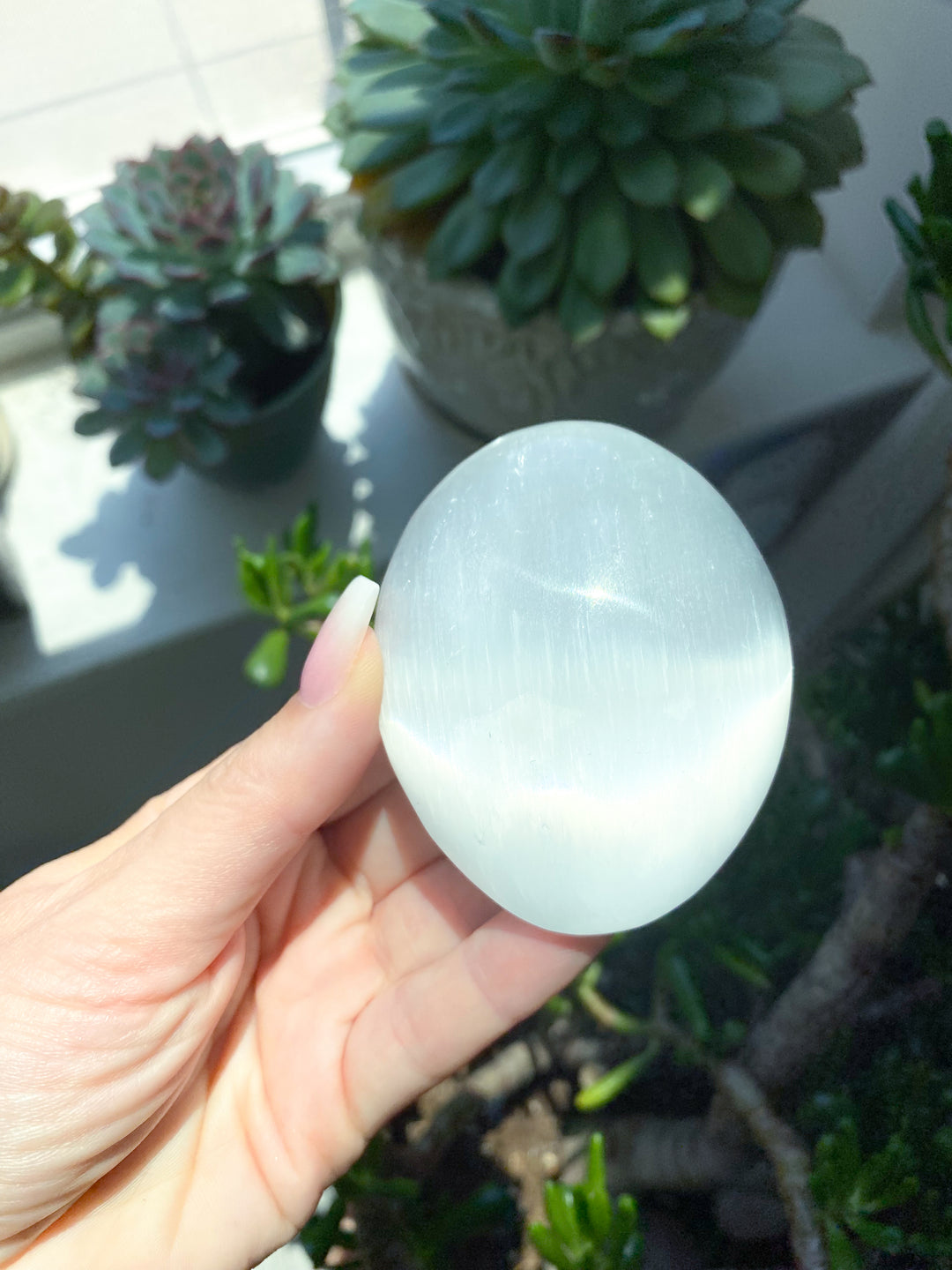 Selenite Palm