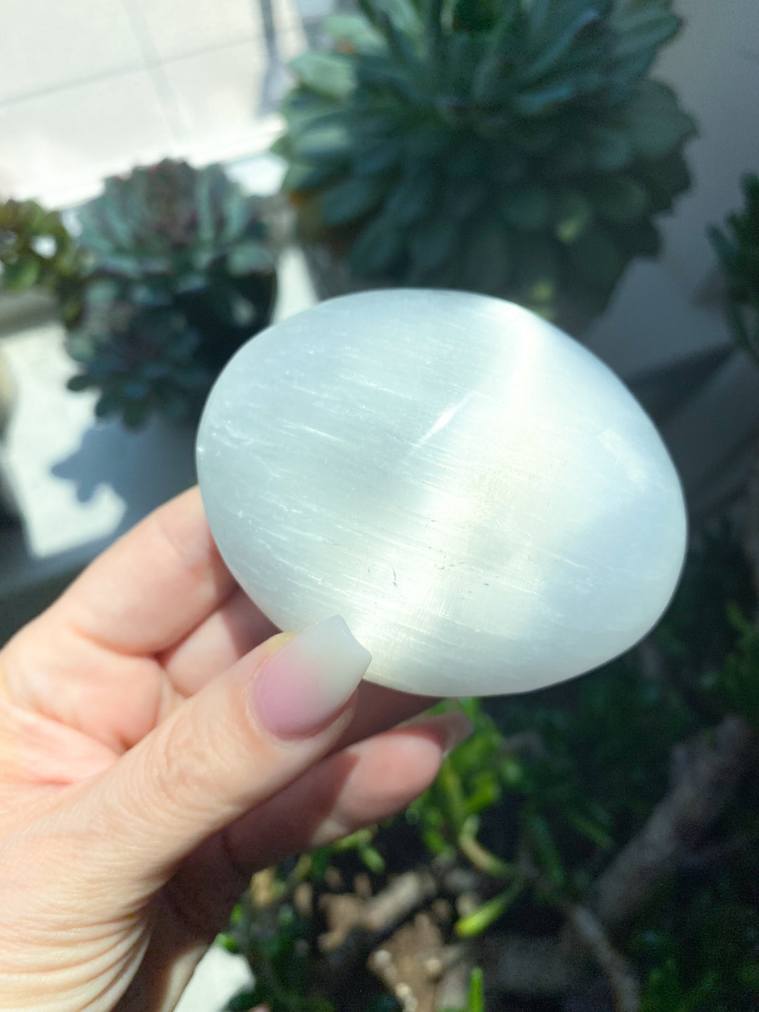 Selenite Palm