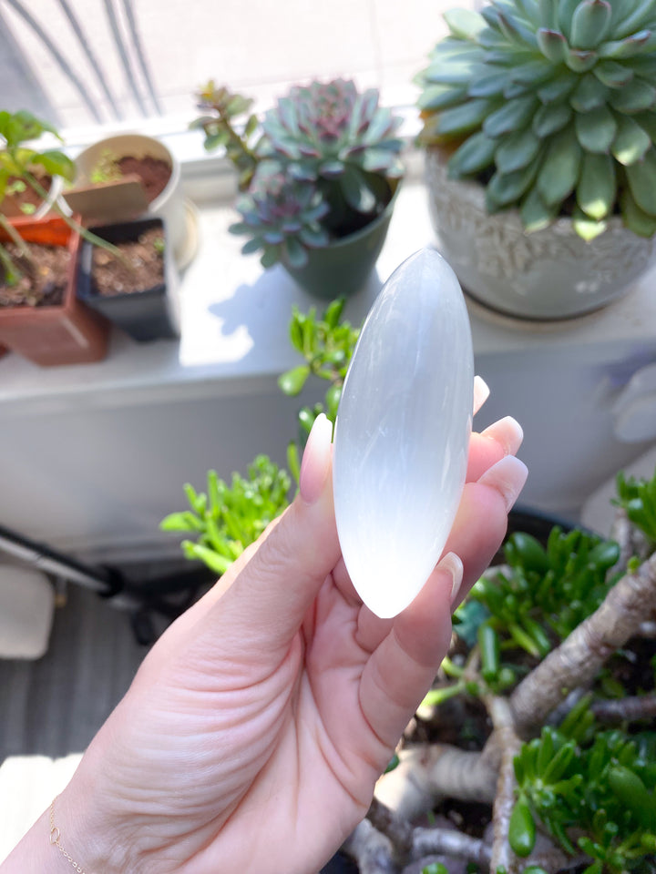 Selenite Palm