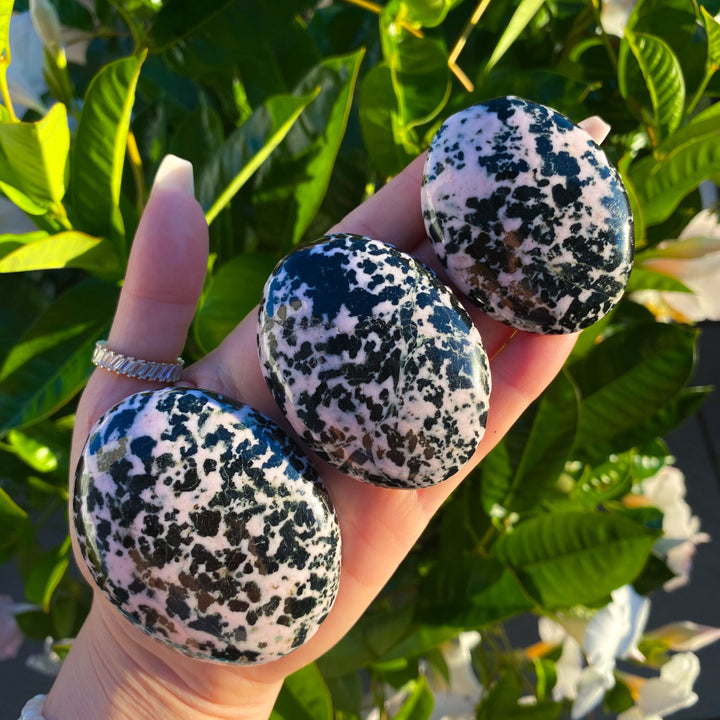 Snowflake Rhodonite Palm Stone