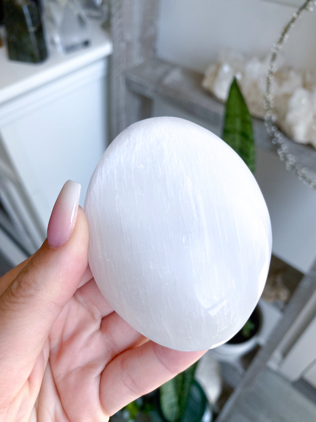 Selenite Palm