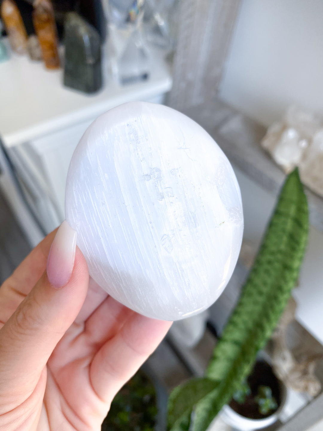 Selenite Palm