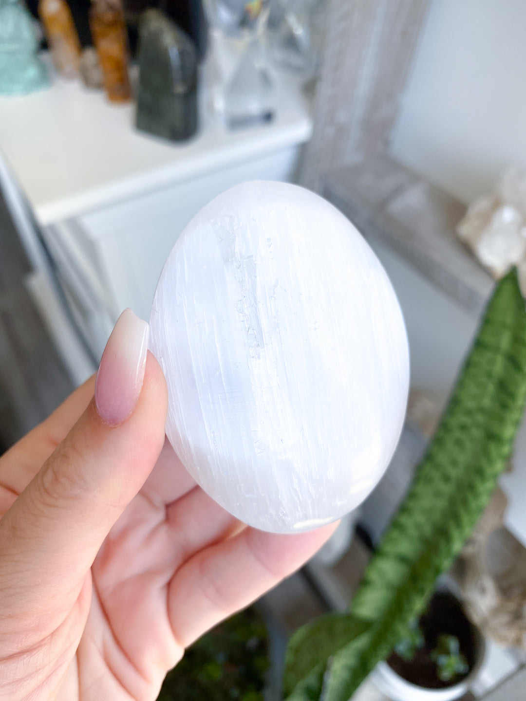 Selenite Palm
