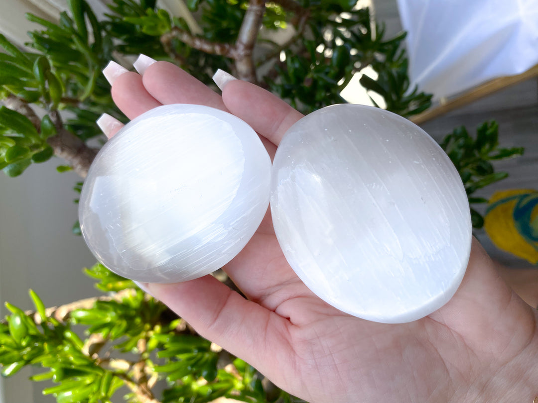 Selenite Palm