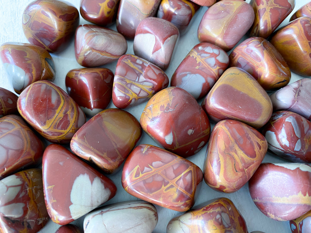 Noreena Jasper Tumble