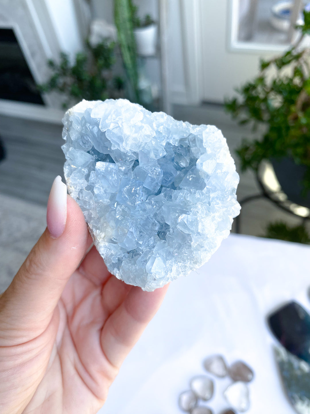 Celestite Cluster Chunk Geode 