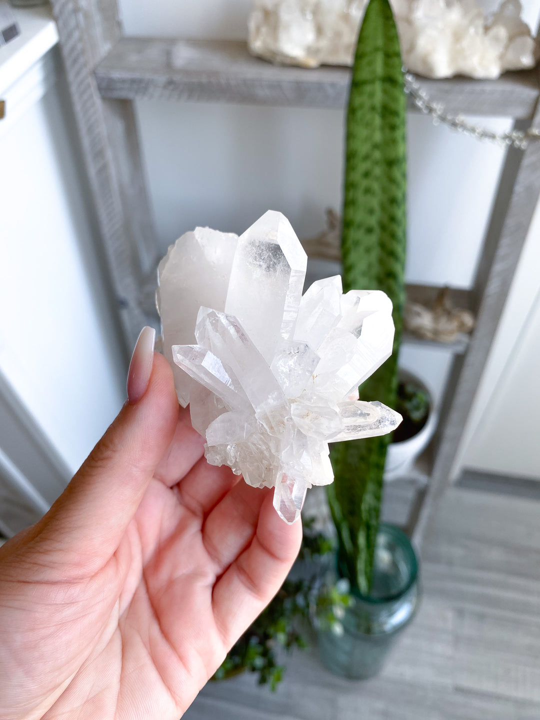 Clear Quartz Cluster 
