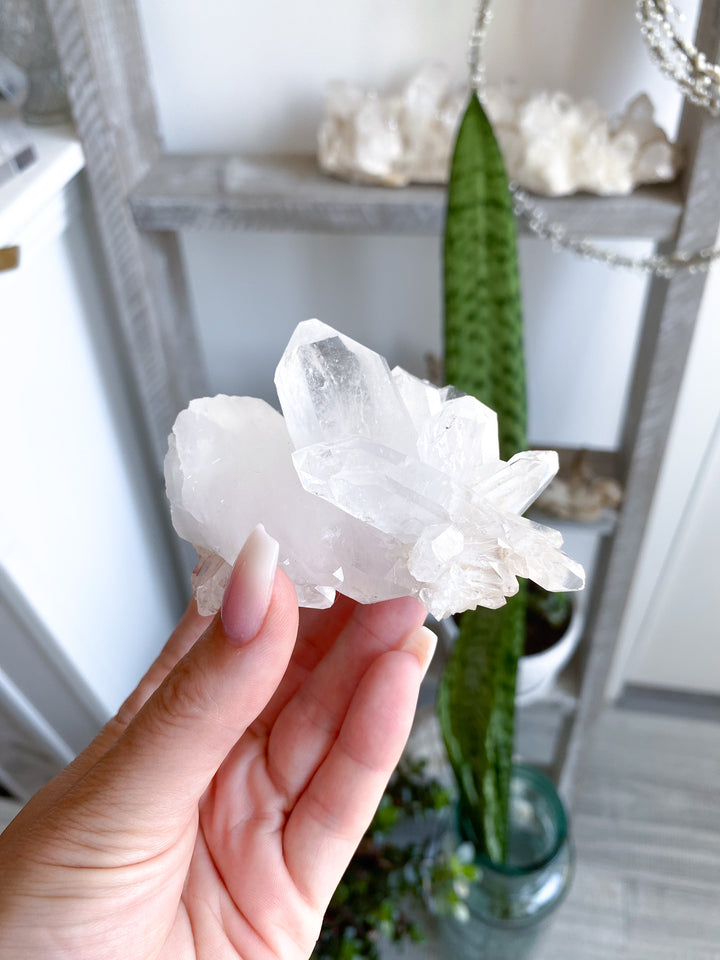 Clear Quartz Cluster 