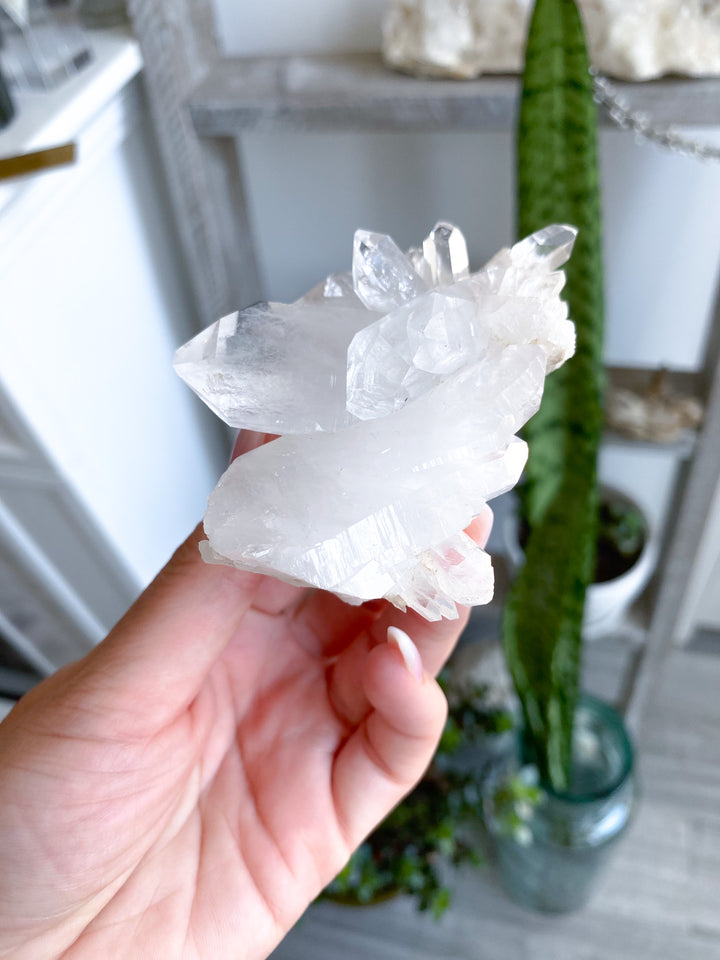 Clear Quartz Cluster 