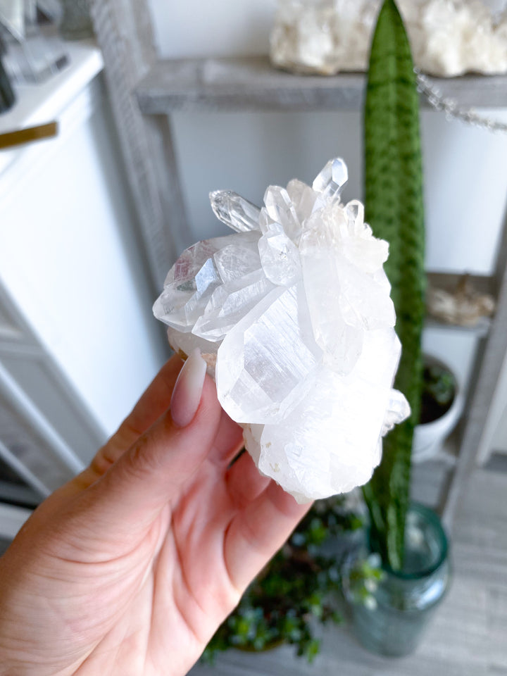 Clear Quartz Cluster 