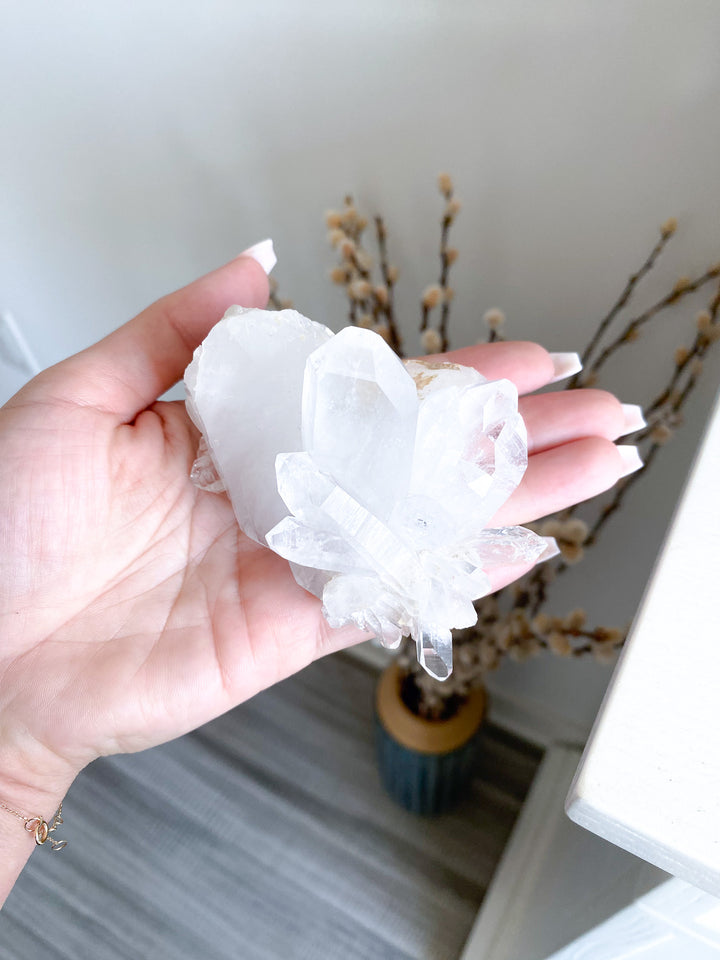 Clear Quartz Cluster 