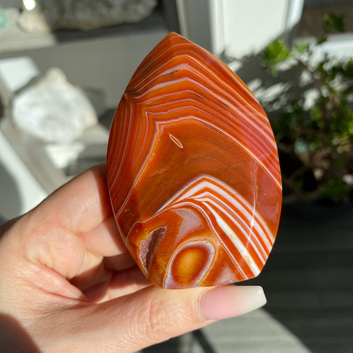 Carnelian Flame 