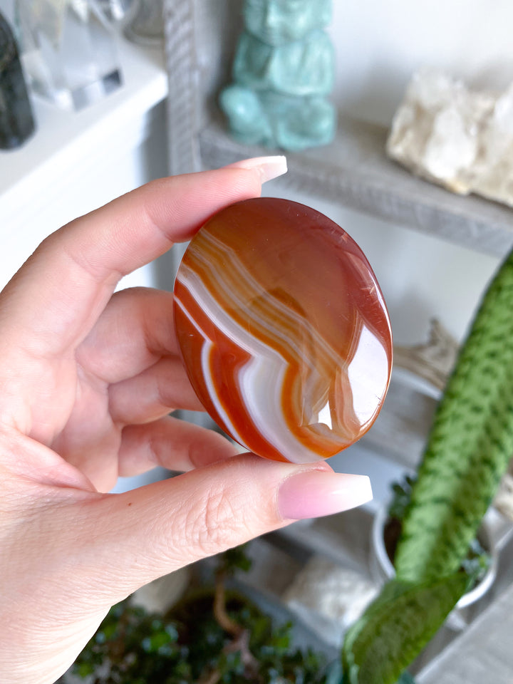 Carnelian Palm #10