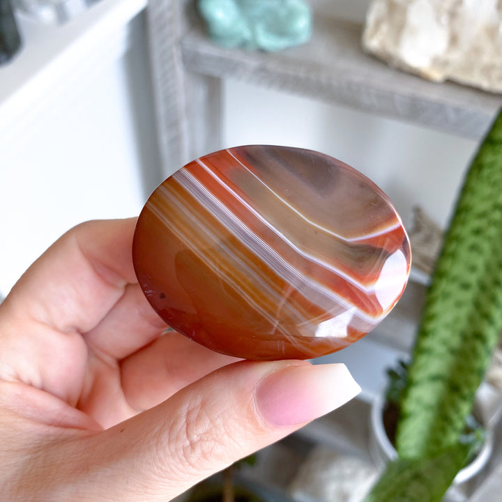 Carnelian Palm #10