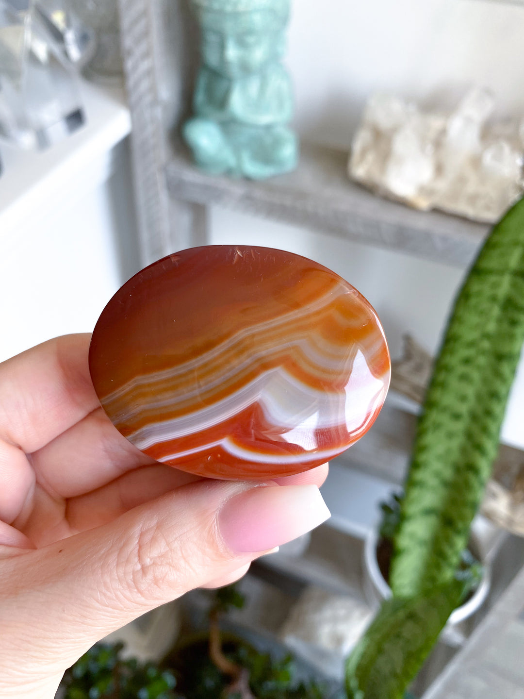 Carnelian Palm #10