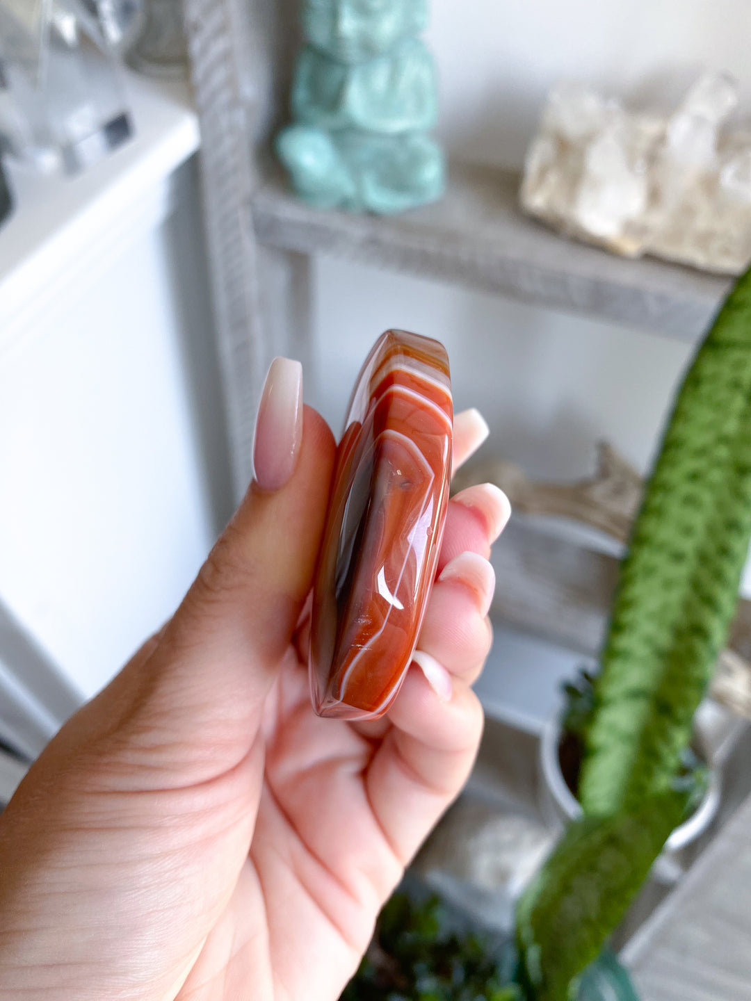Carnelian Palm #10