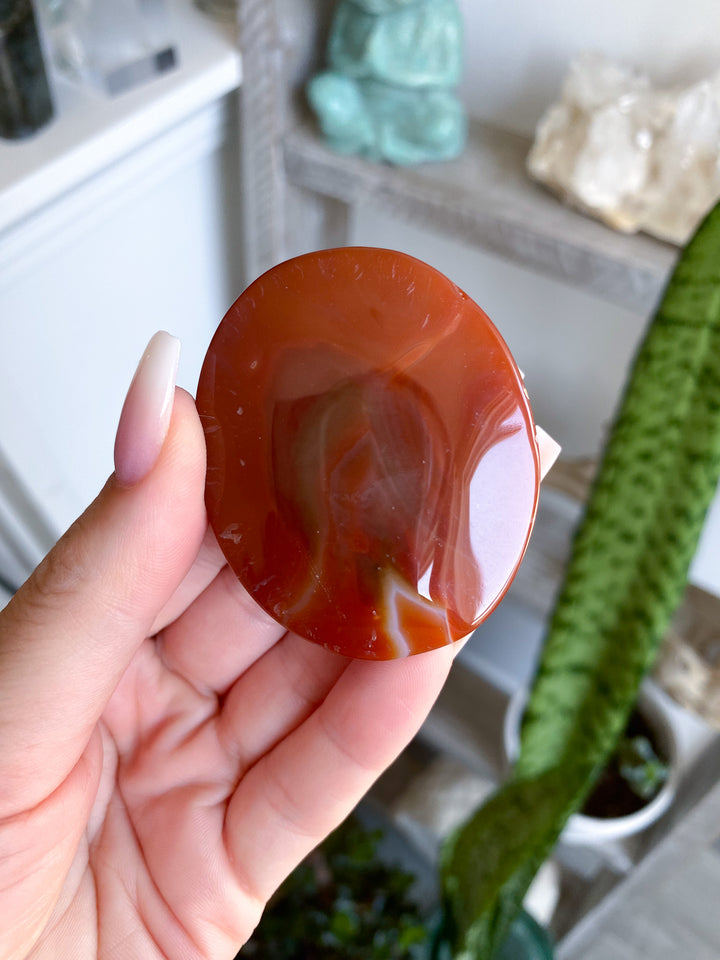 Banded Carnelian Palm 