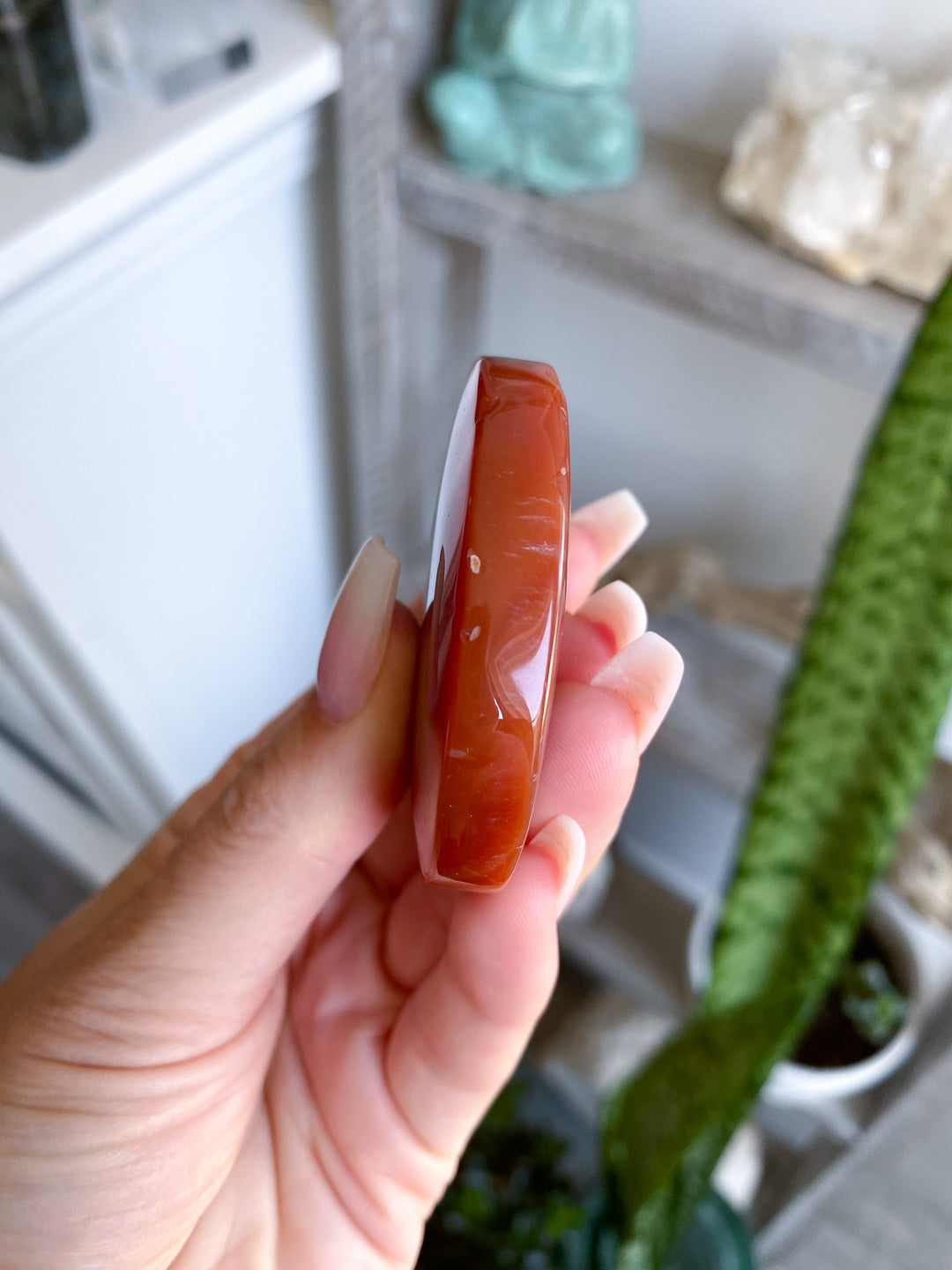 Banded Carnelian Palm 
