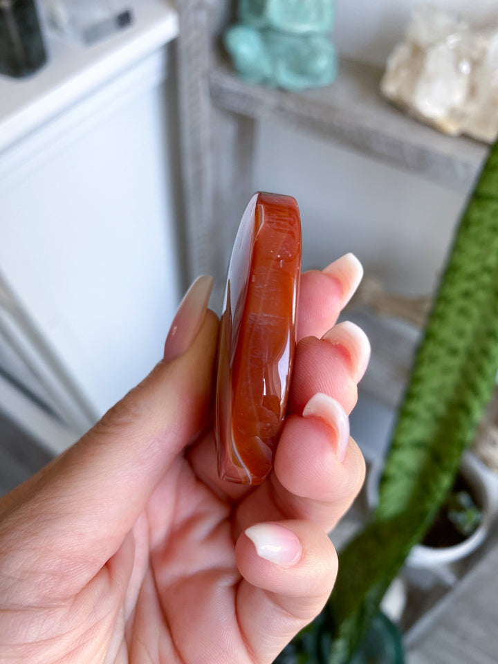 Banded Carnelian Palm 