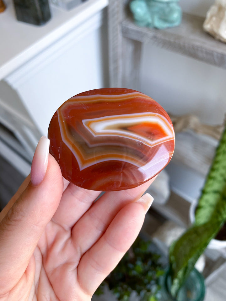 Banded Carnelian Palm 