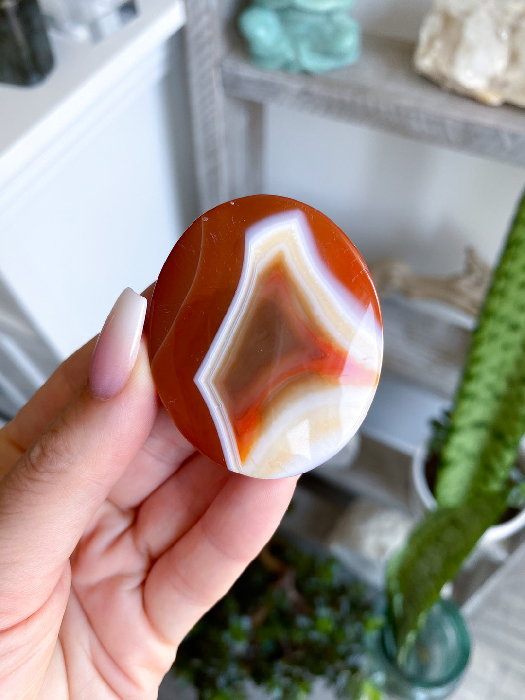 Banded Carnelian Palm 