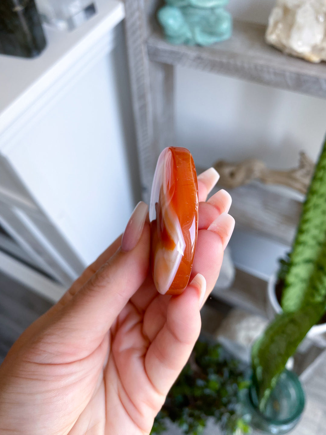 Banded Carnelian Palm 