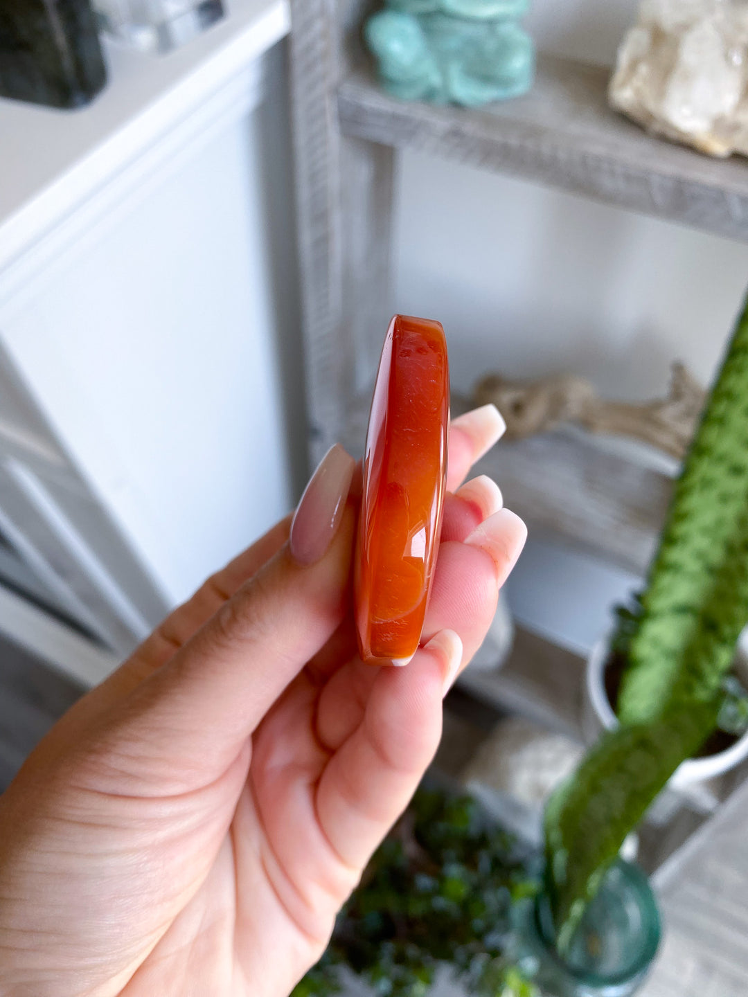 Banded Carnelian Palm 