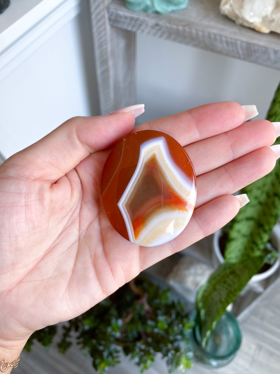 Banded Carnelian Palm 