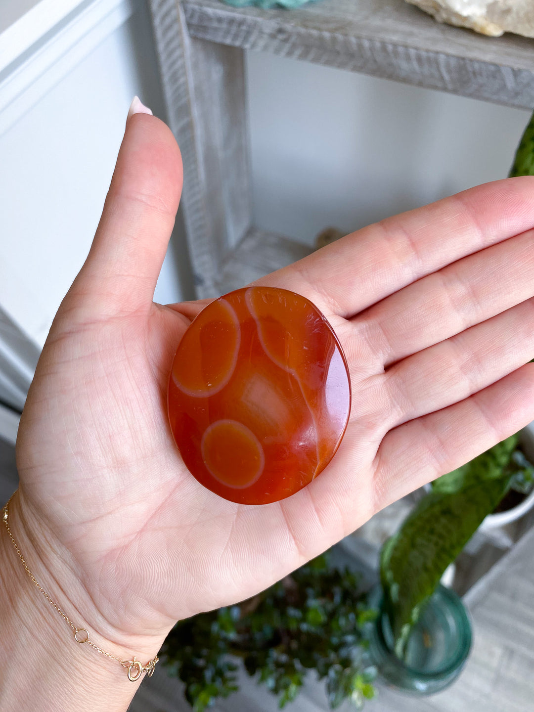 Banded Carnelian Palm 