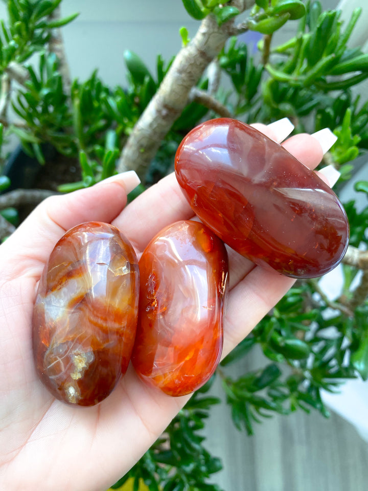 Long Carnelian Palm Stone