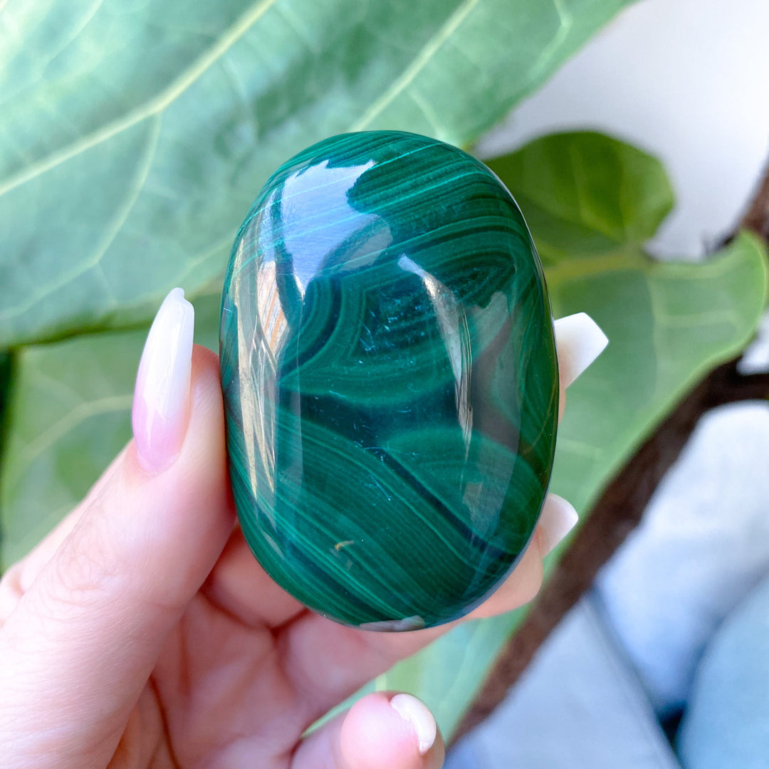 RARE Malachite Palm Stone