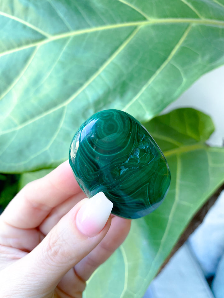 RARE Malachite Palm Stone