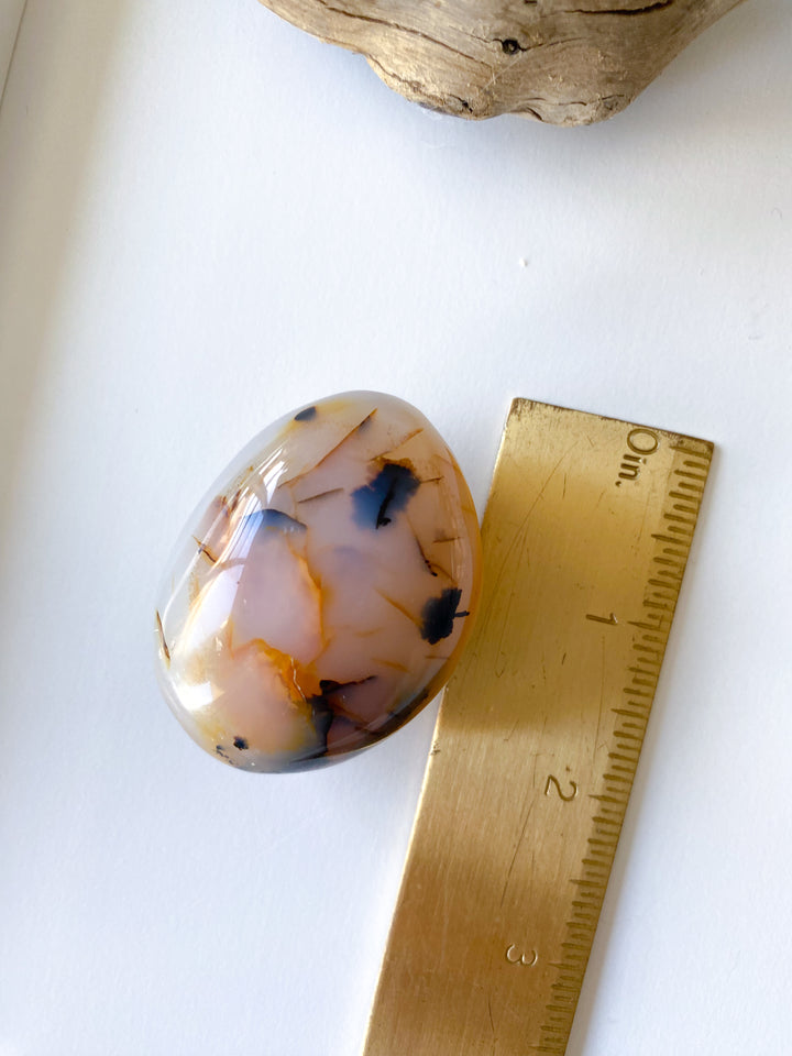 Dendritic Agate Pebble Stone - Get Exact Item