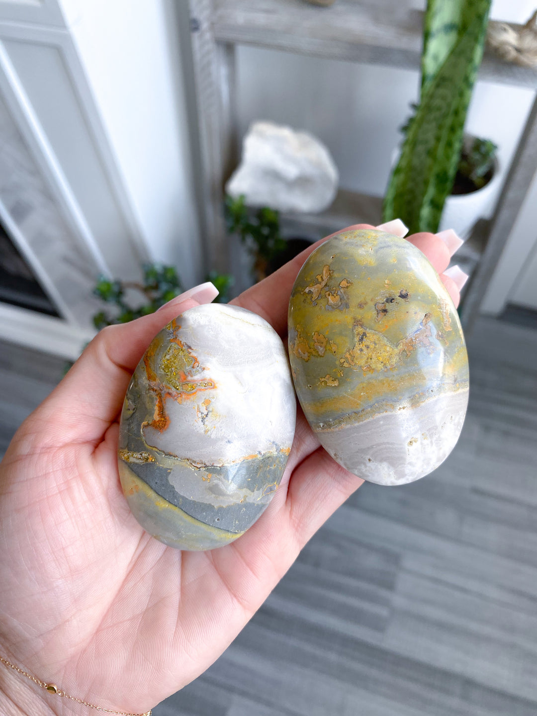 B Quality Bumble Bee Jasper Palm
