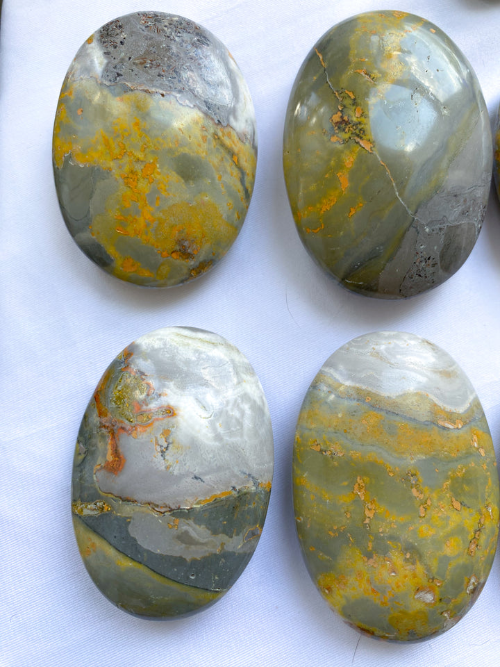 B Quality Bumble Bee Jasper Palm