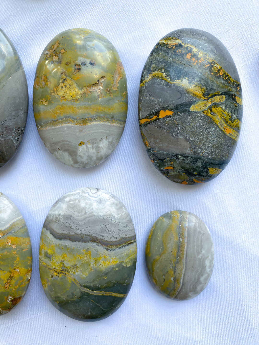 B Quality Bumble Bee Jasper Palm