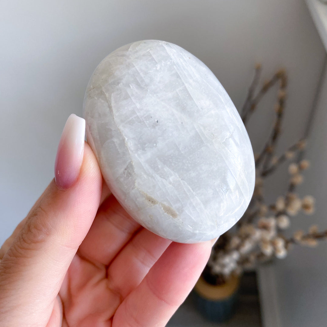 White, Egg-like Rainbow Moonstone Palm #1