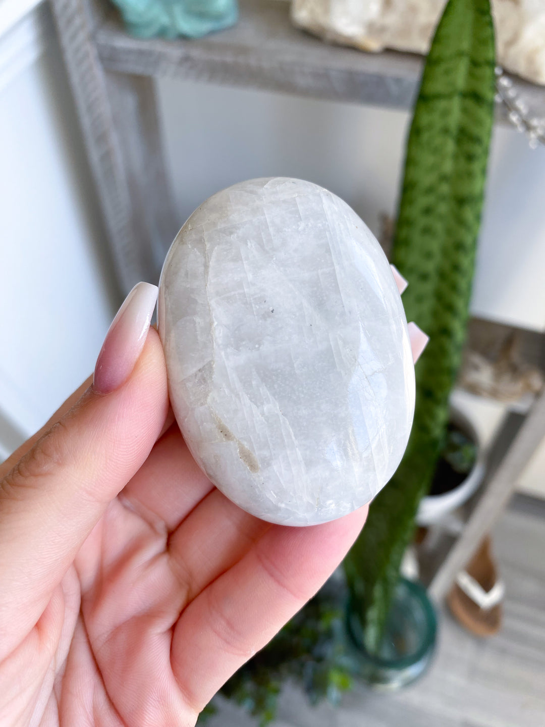 White, Egg-like Rainbow Moonstone Palm #1