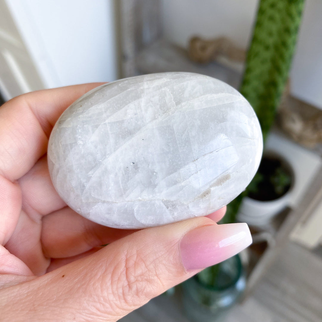 White, Egg-like Rainbow Moonstone Palm #1