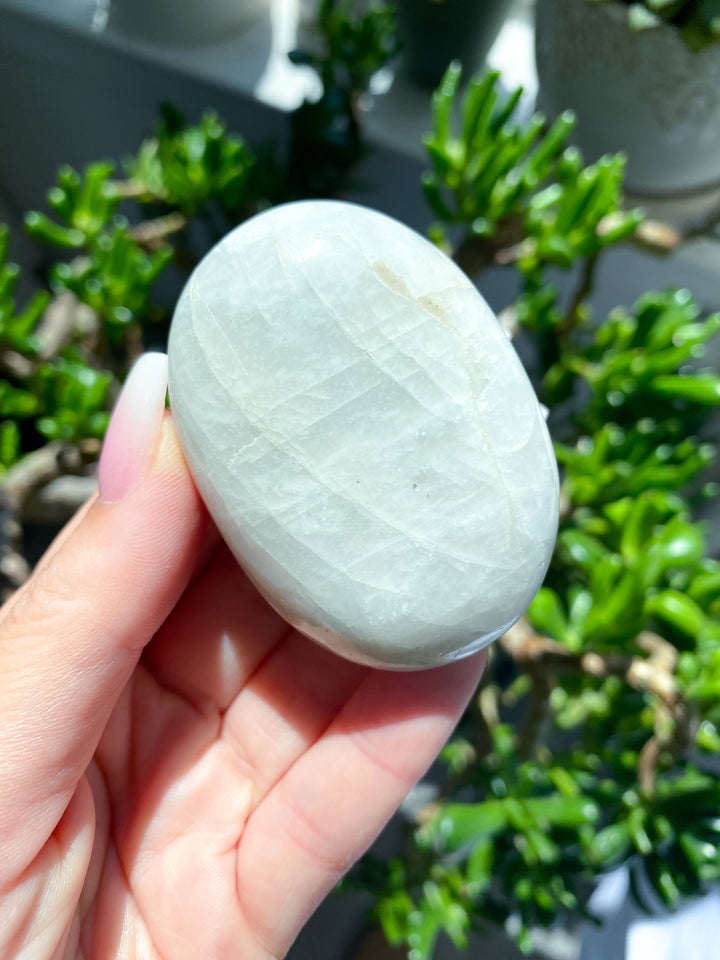 White, Egg-like Rainbow Moonstone Palm #1