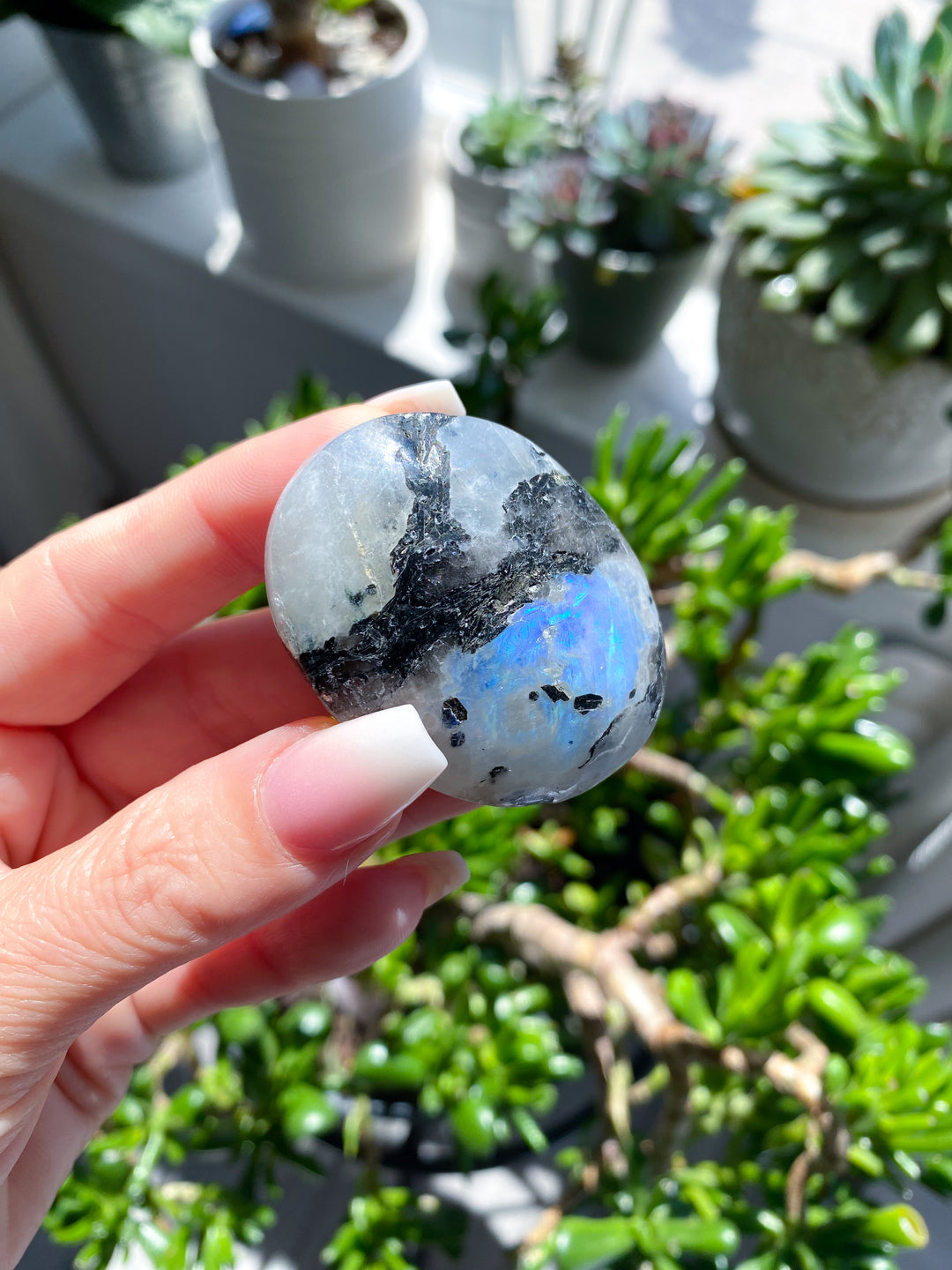 Small Flashy Rainbow Moonstone Palm #1